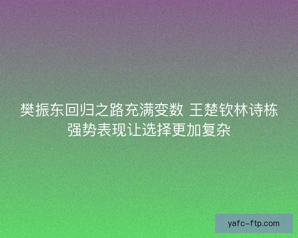 樊振东回归之路充满变数 王楚钦林诗栋强势表现让选择更加复杂