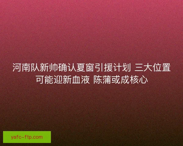 河南队新帅确认夏窗引援计划 三大位置可能迎新血液 陈蒲或成核心