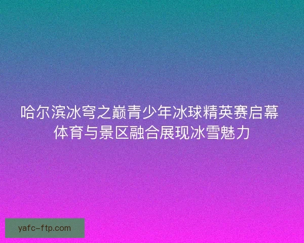 哈尔滨冰穹之巅青少年冰球精英赛启幕 体育与景区融合展现冰雪魅力