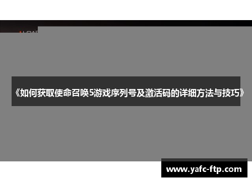 《如何获取使命召唤5游戏序列号及激活码的详细方法与技巧》